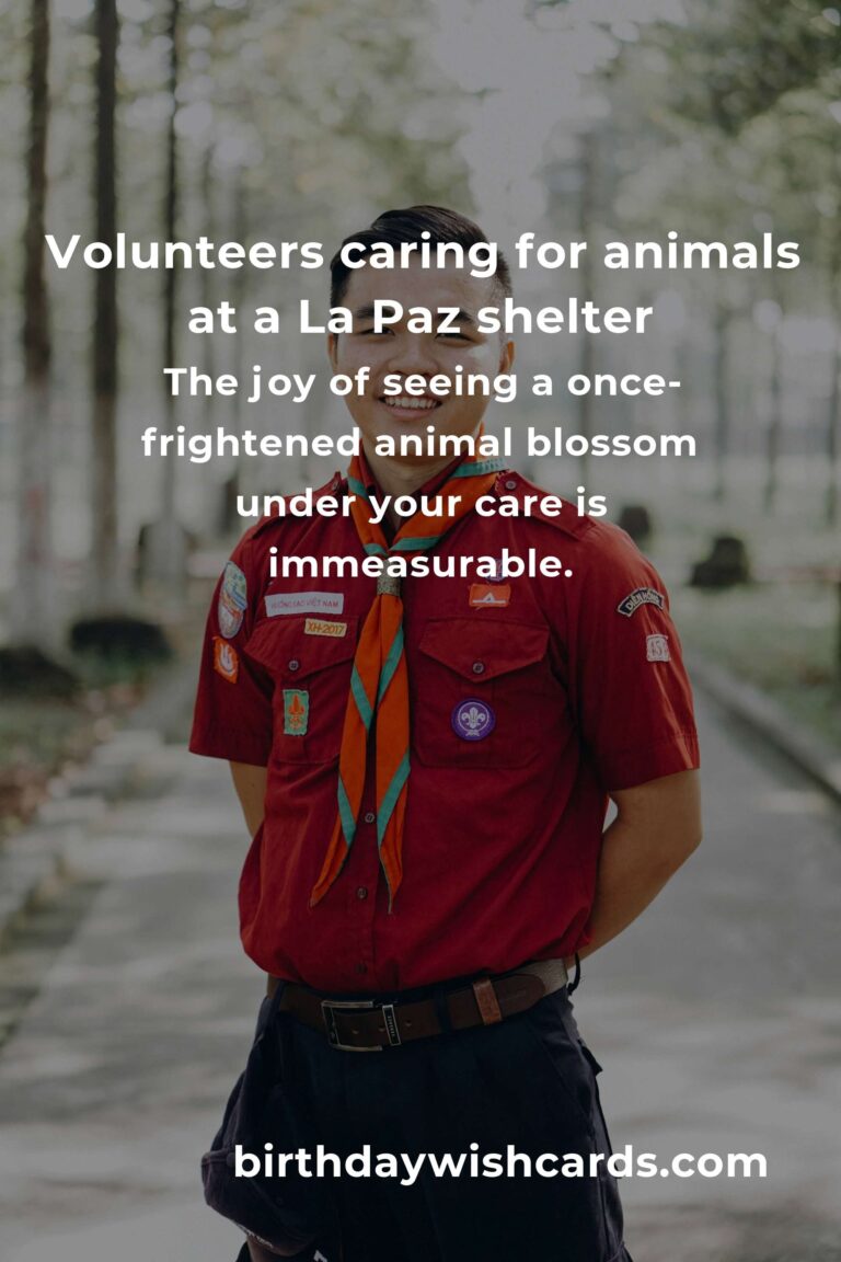 Finding Purpose: The Best Animal Shelter Volunteer Programs in La Paz