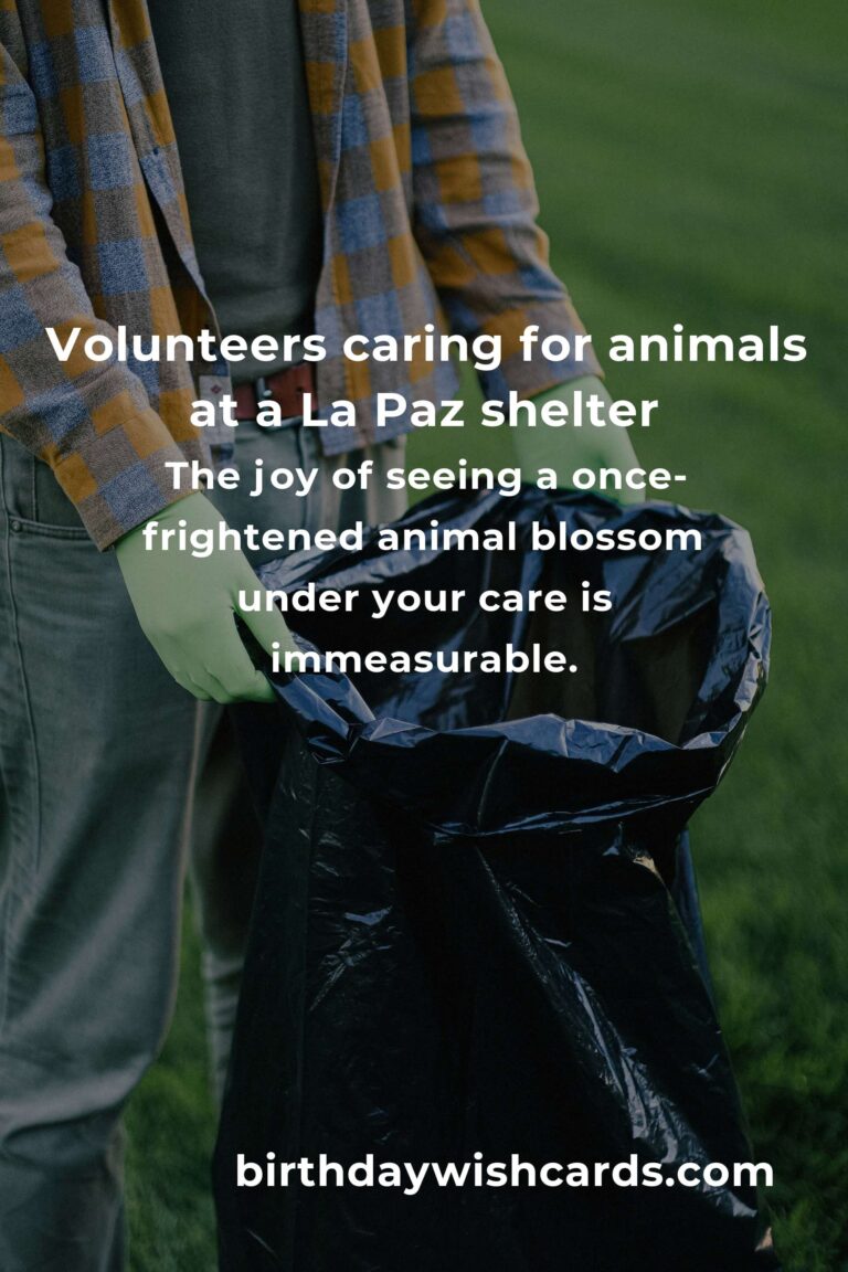Finding Purpose: The Best Animal Shelter Volunteer Programs in La Paz