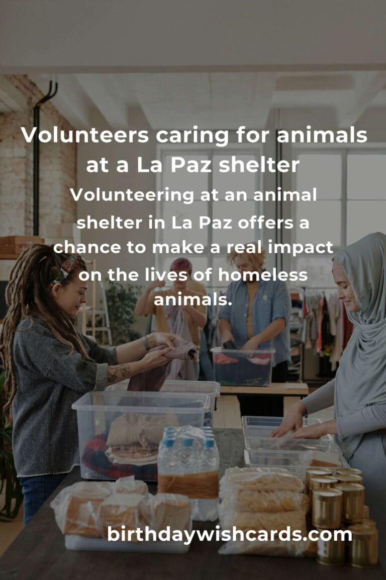 Finding Purpose: The Best Animal Shelter Volunteer Programs in La Paz