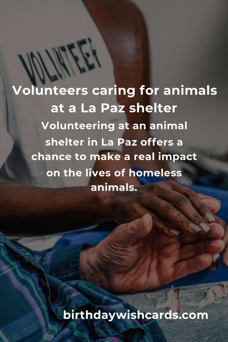 Finding Purpose: The Best Animal Shelter Volunteer Programs in La Paz