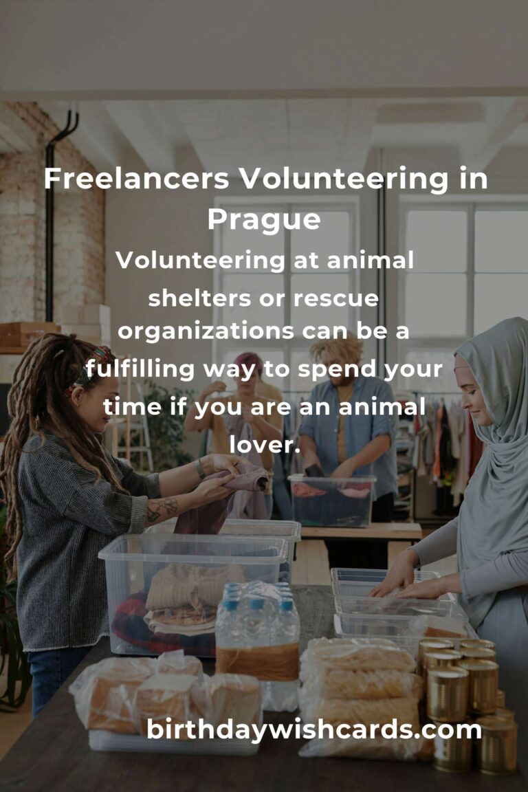 Finding Purpose: Volunteer Opportunities for Freelancers in Prague