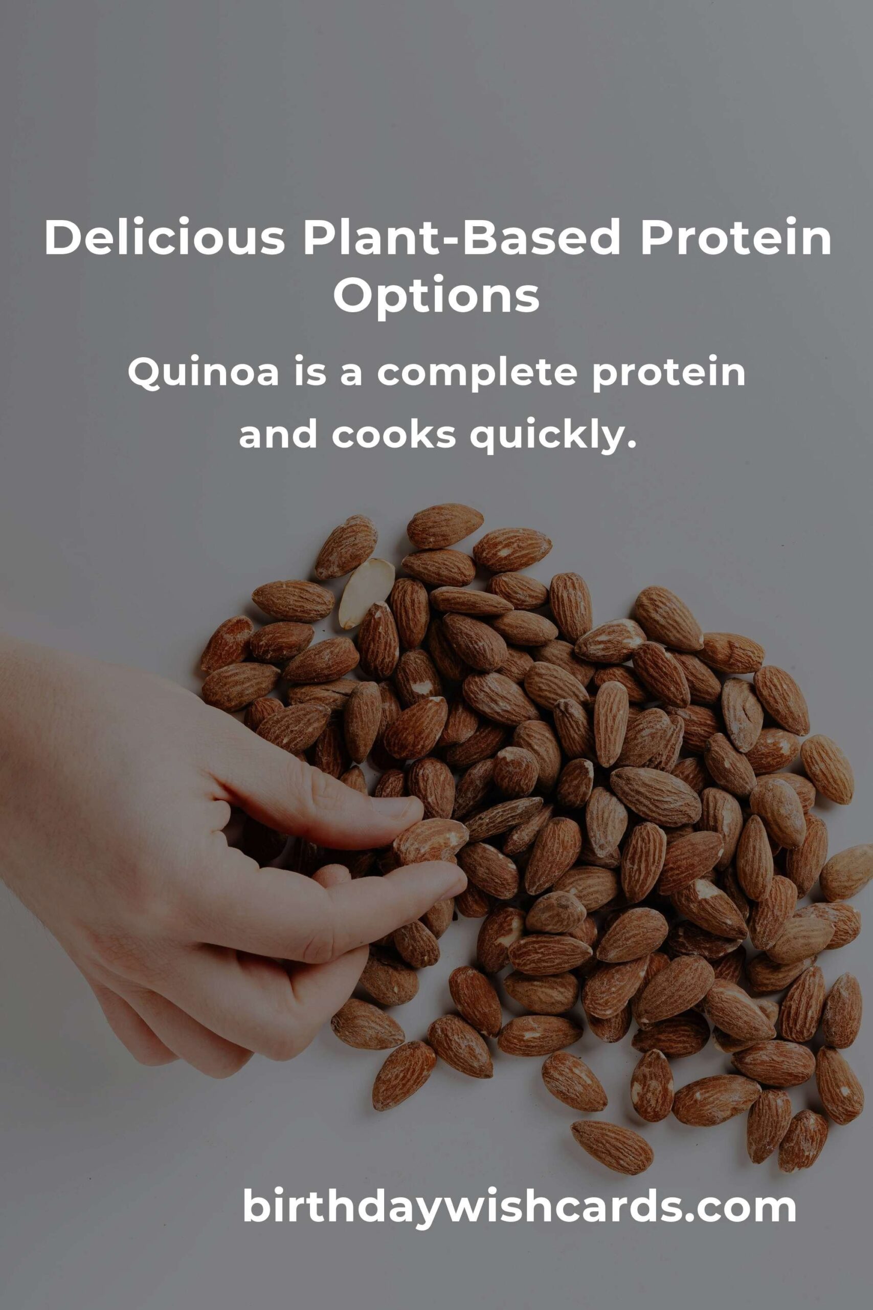 Healthy Plant-Based Protein Options for Single Parents