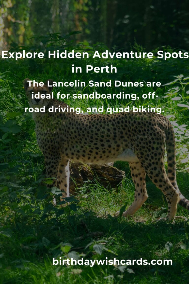 Hidden Adventure Spots in Perth You Must See