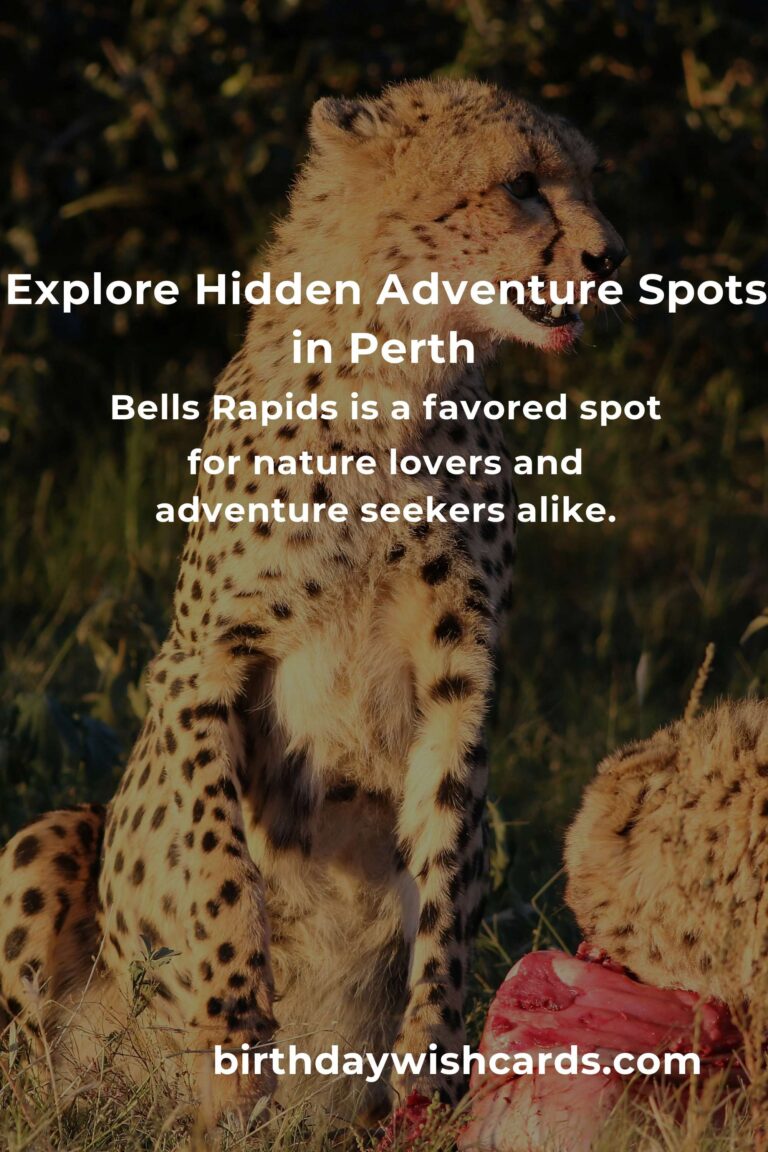Hidden Adventure Spots in Perth You Must See