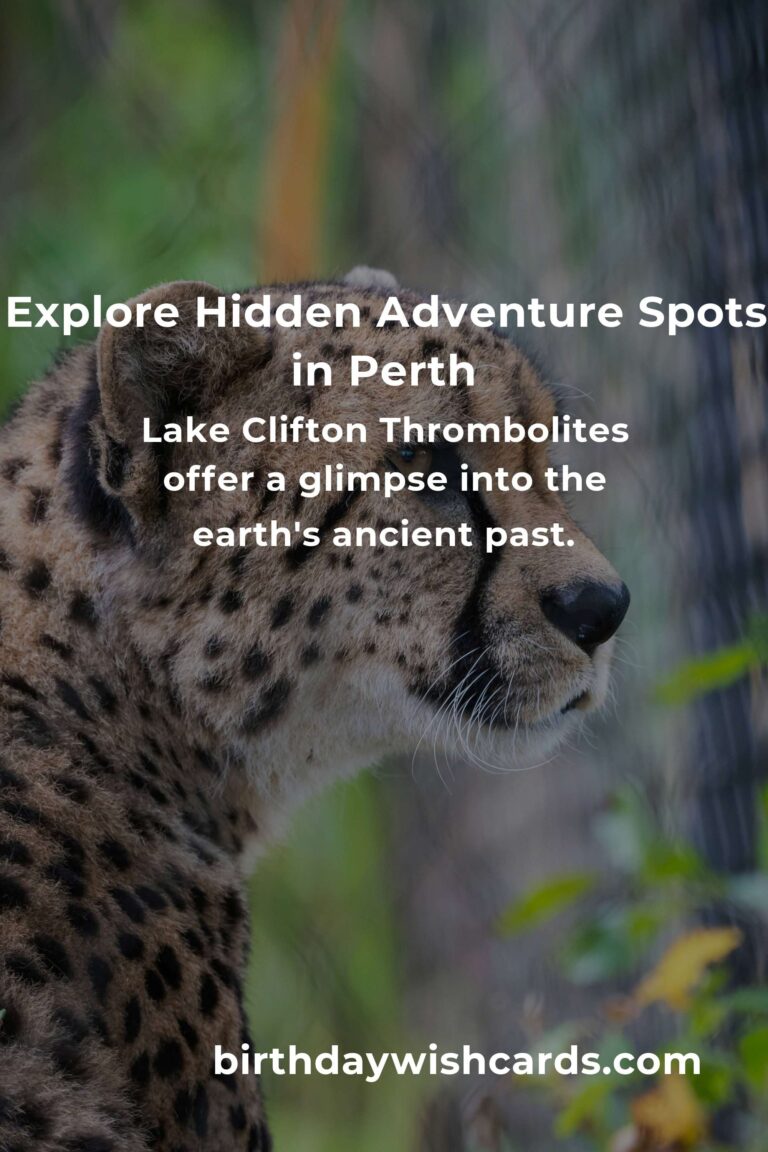 Hidden Adventure Spots in Perth You Must See