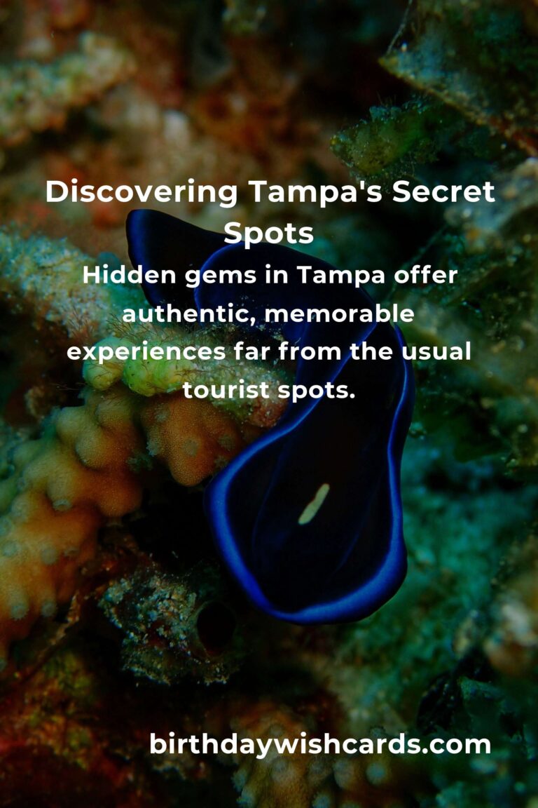 Hidden Gems in Tampa: The Ultimate Guide to Unforgettable Local Experiences