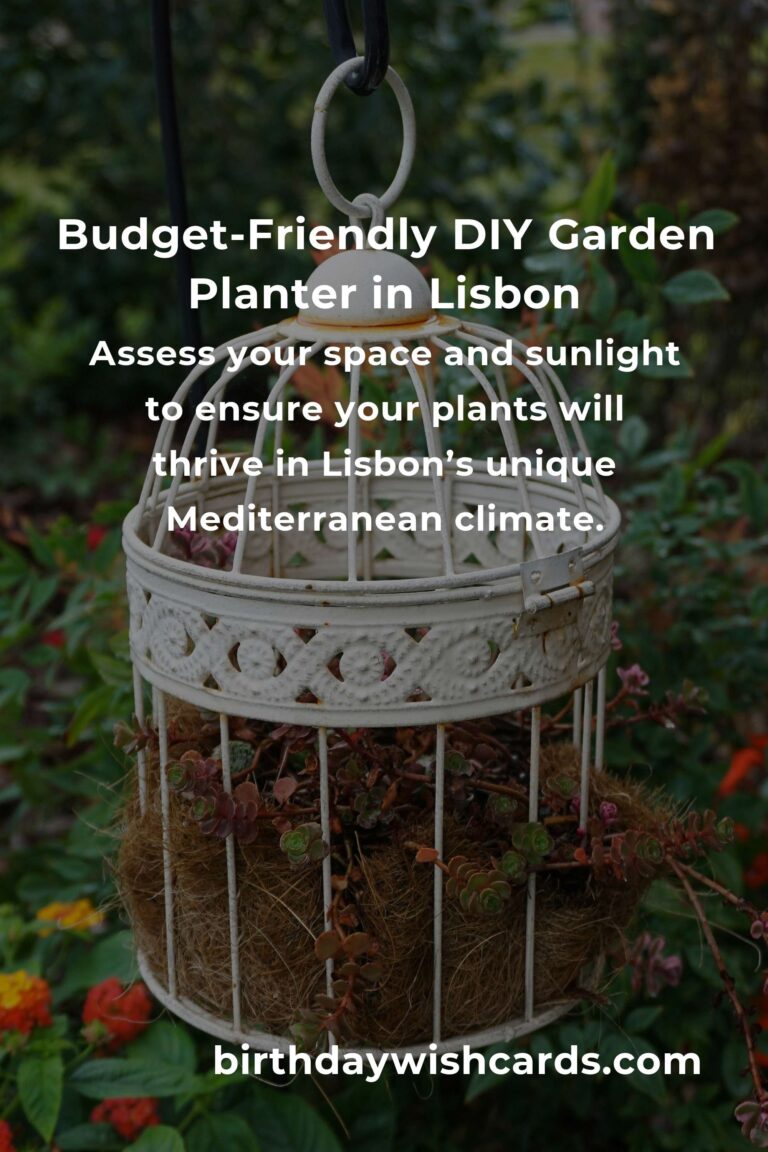 How to Build a Garden Planter on a Budget in Lisbon: Transform Your Urban Space with Style and Heart