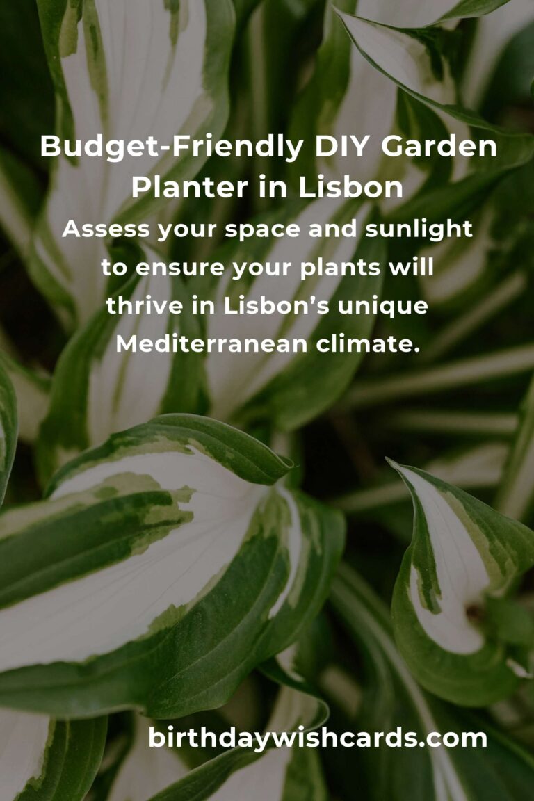 How to Build a Garden Planter on a Budget in Lisbon: Transform Your Urban Space with Style and Heart