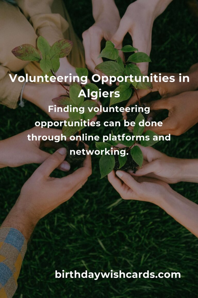How to Start Volunteering in Algiers: A Beginner's Guide
