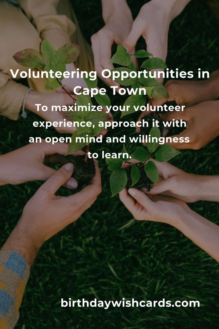 How to Start Volunteering in Cape Town: Guide for College Students