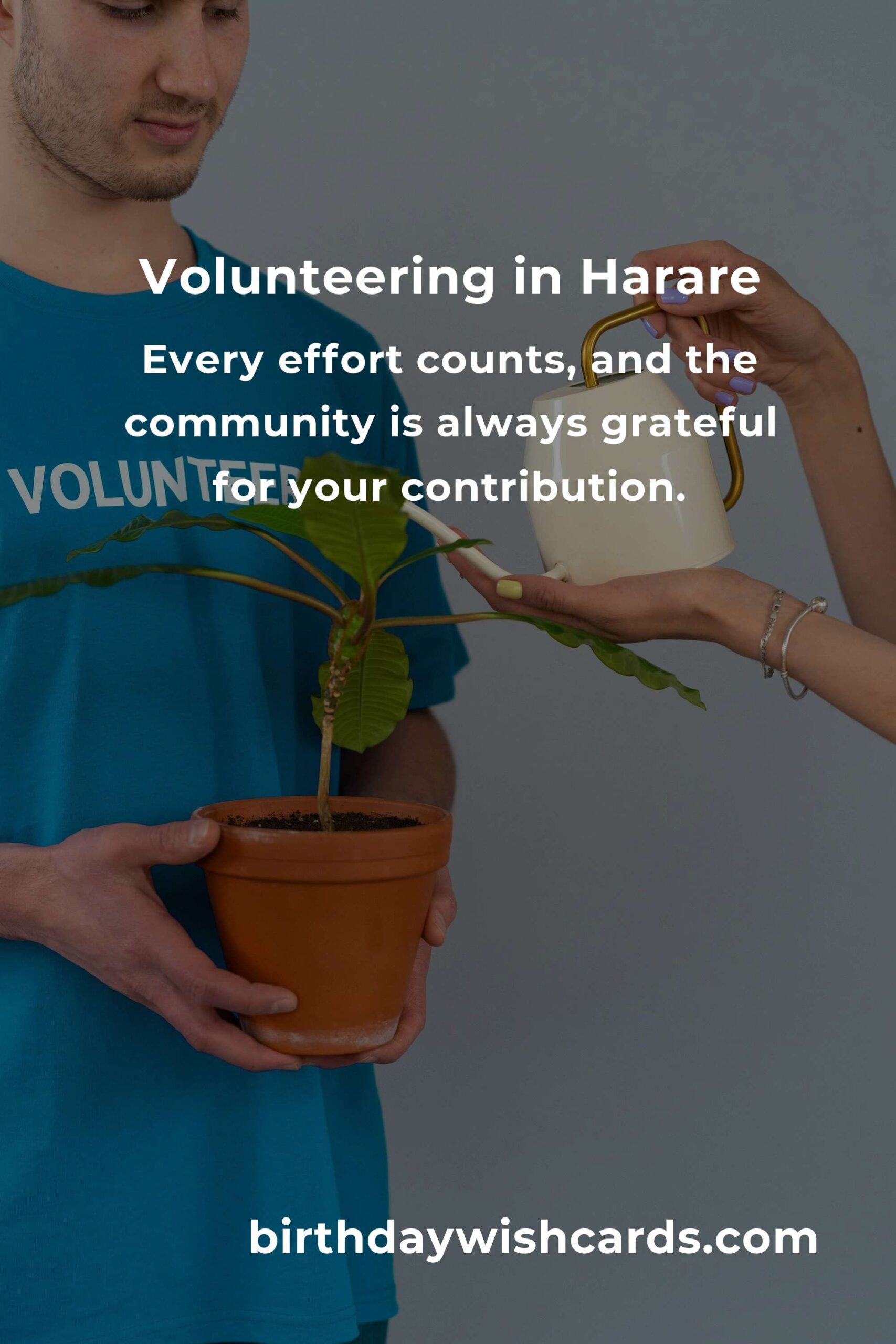 How to Start Volunteering in Harare: A Heartfelt Guide for Busy Professionals