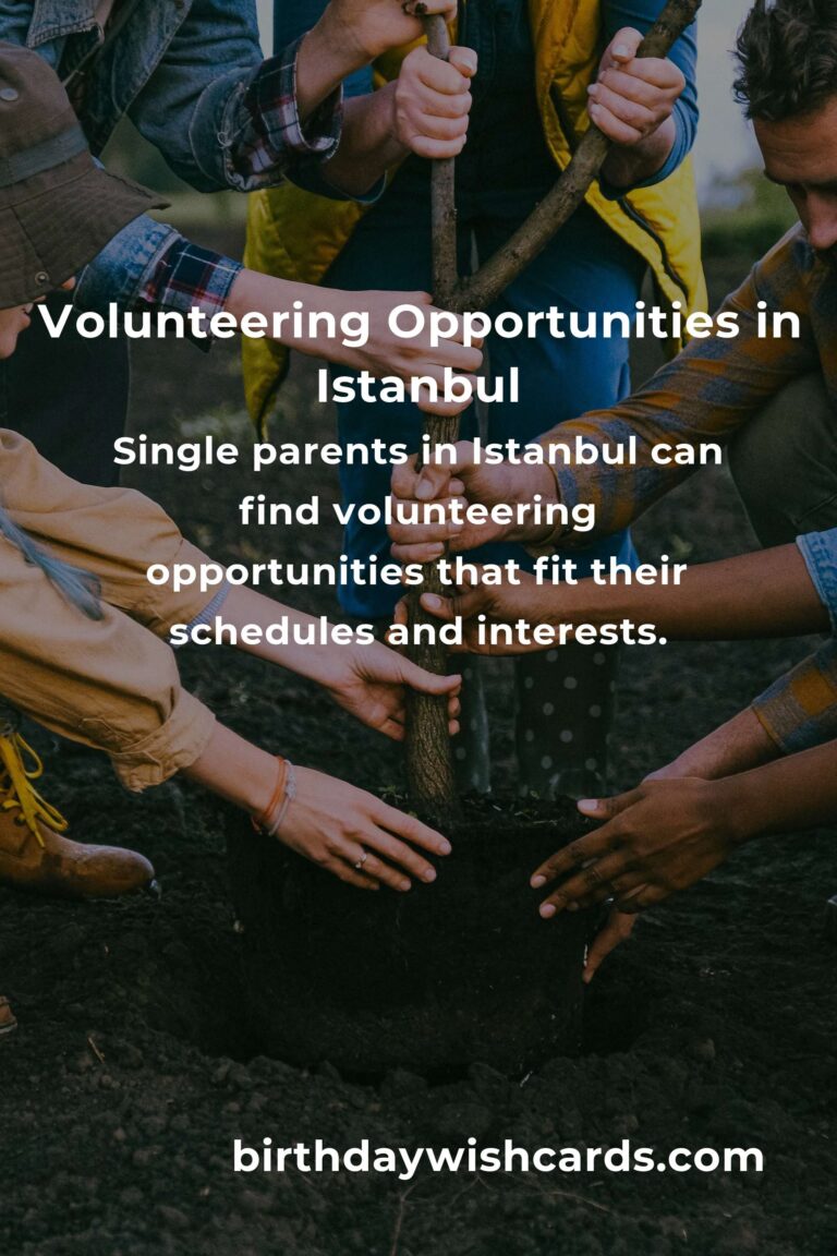 How to Start Volunteering in Istanbul: A Comprehensive Guide for Single Parents