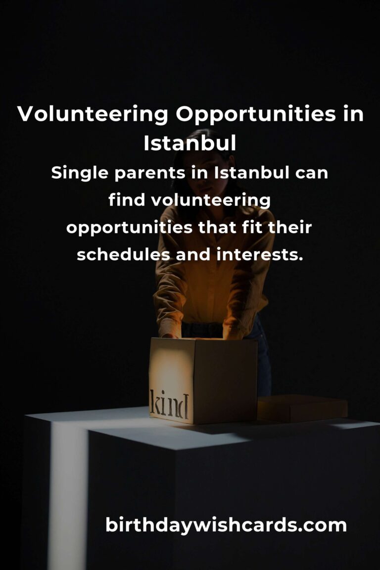 How to Start Volunteering in Istanbul: A Comprehensive Guide for Single Parents
