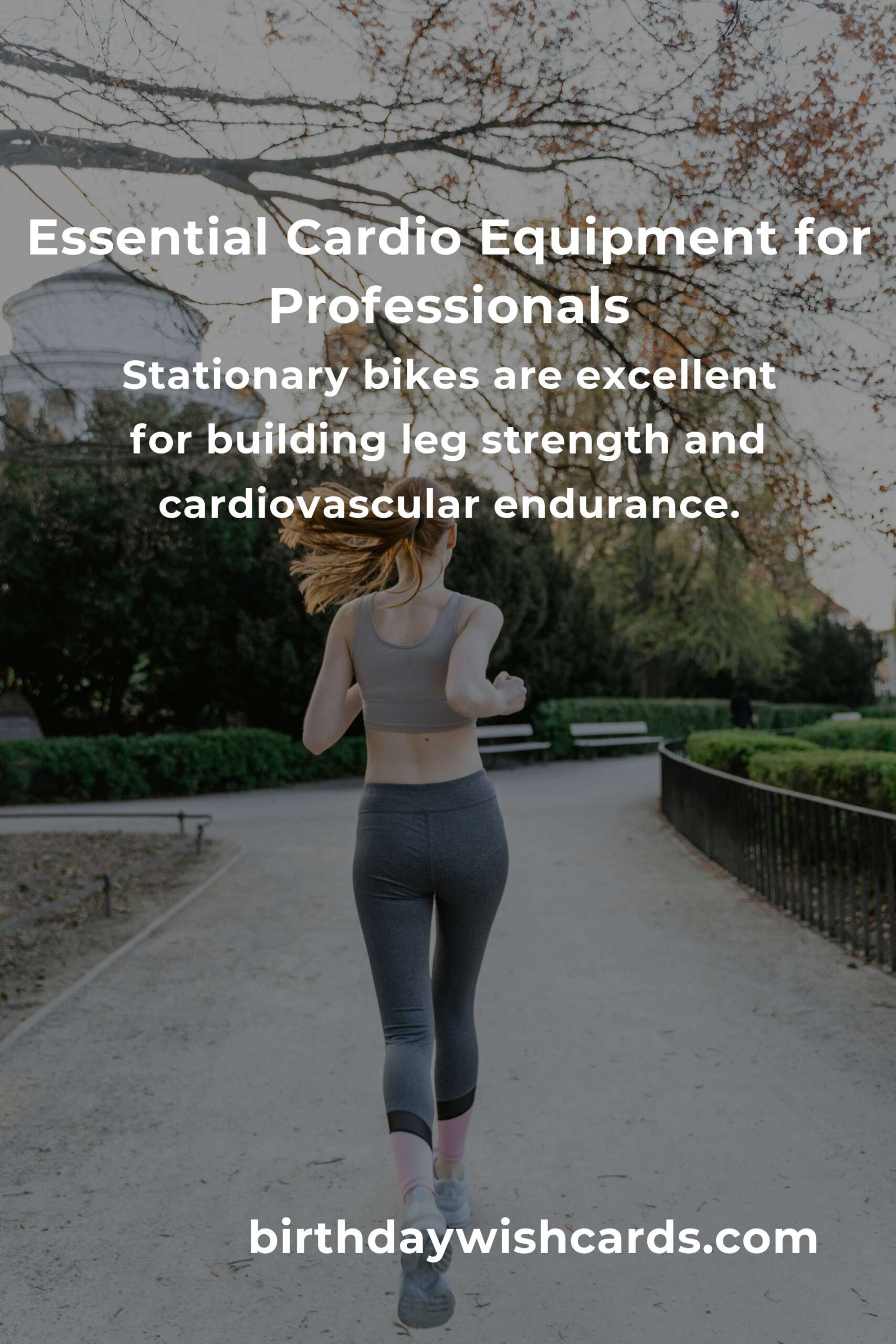 Mastering Cardio Workouts: The Essential Equipment Guide for Professionals