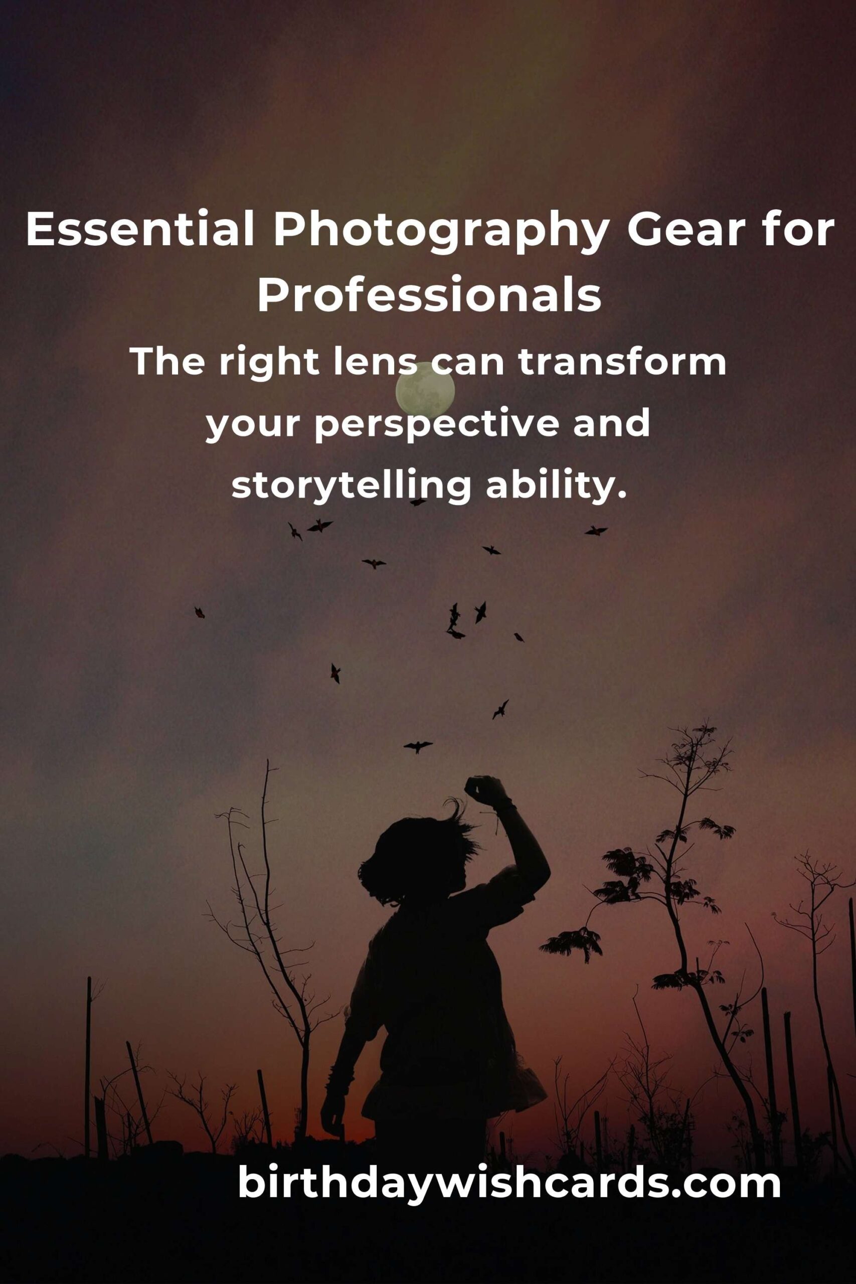Mastering Photography Gear: The Heartfelt Journey of a Professional