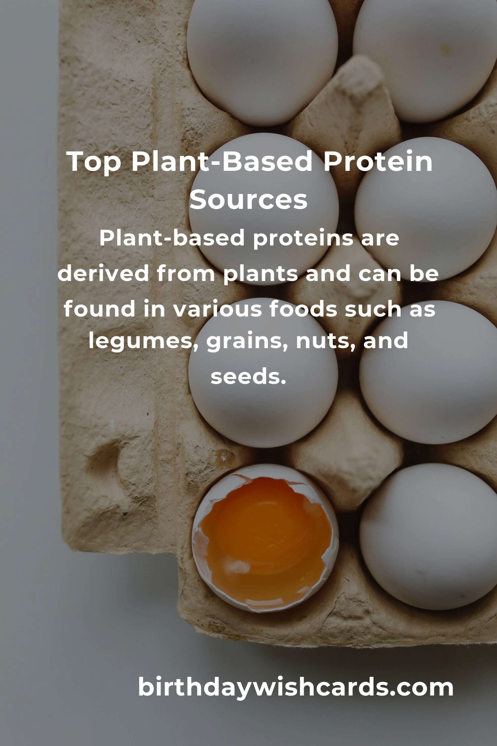 Plant-Based Protein for Fitness Enthusiasts: Complete Guide