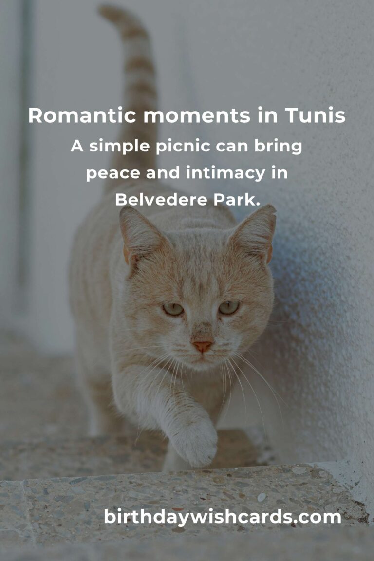 Rediscover Love: A Budget-Friendly Guide to Romantic Getaways in Tunis