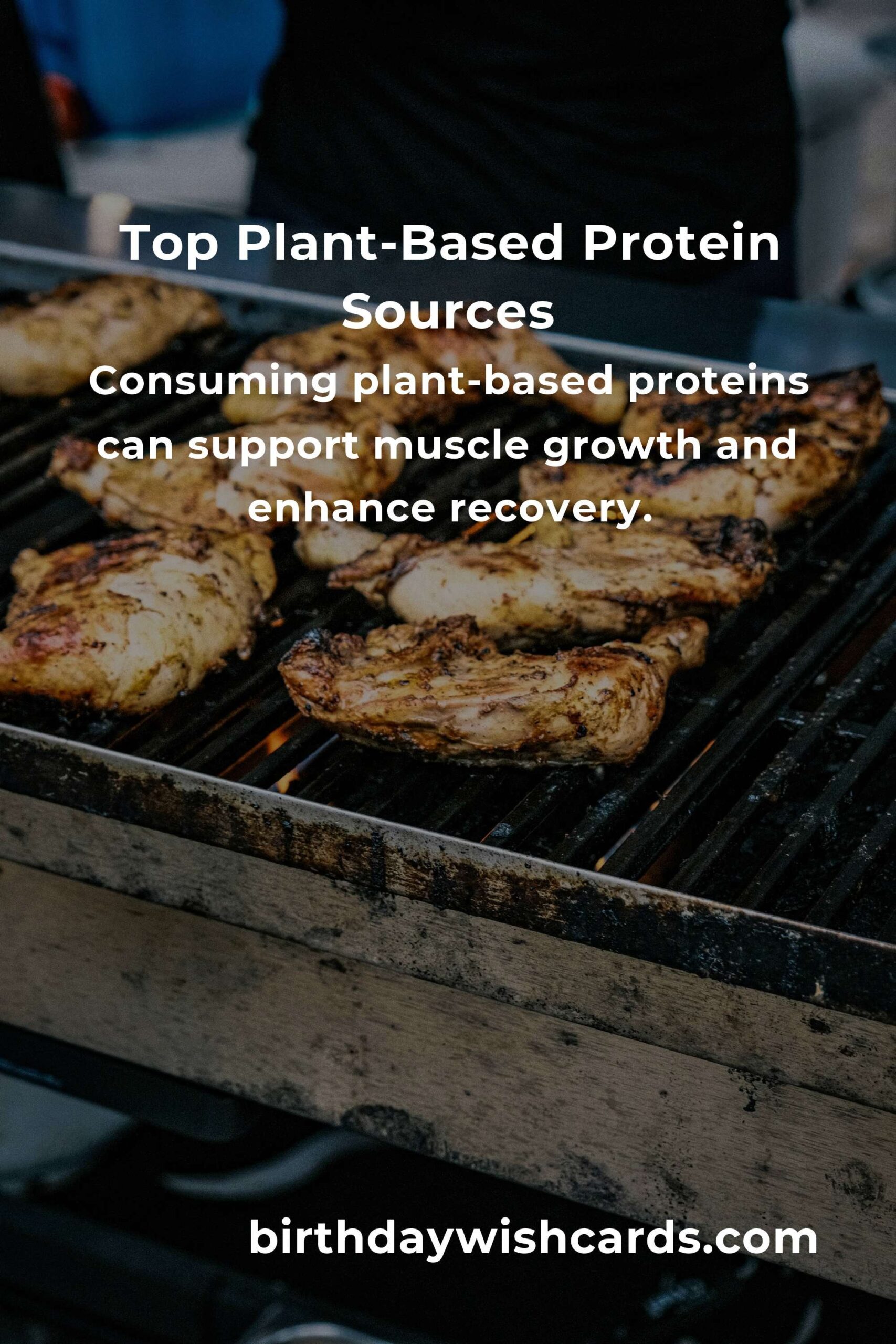 The Ultimate Guide to Healthy Plant-Based Protein for Fitness Enthusiasts
