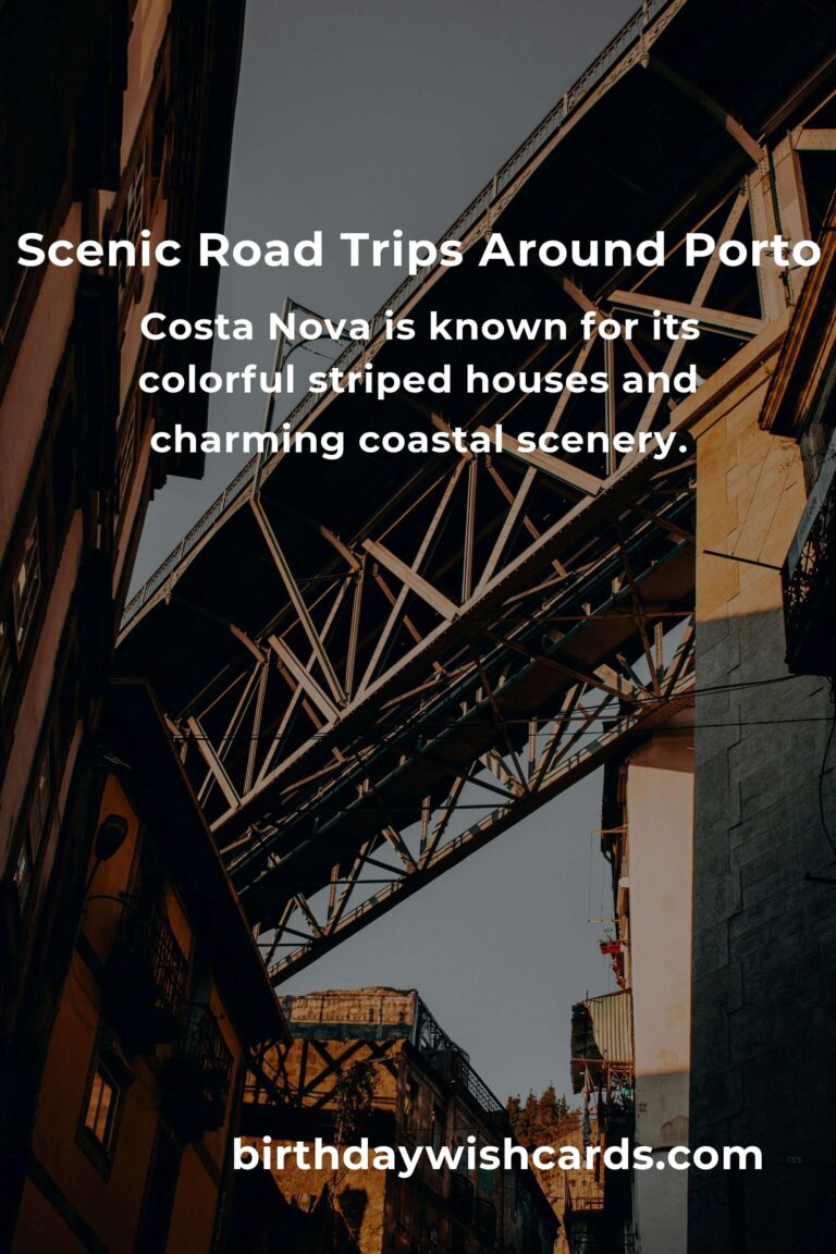 Top 17 Road Trip Routes to Visit in Porto for Unforgettable Adventures