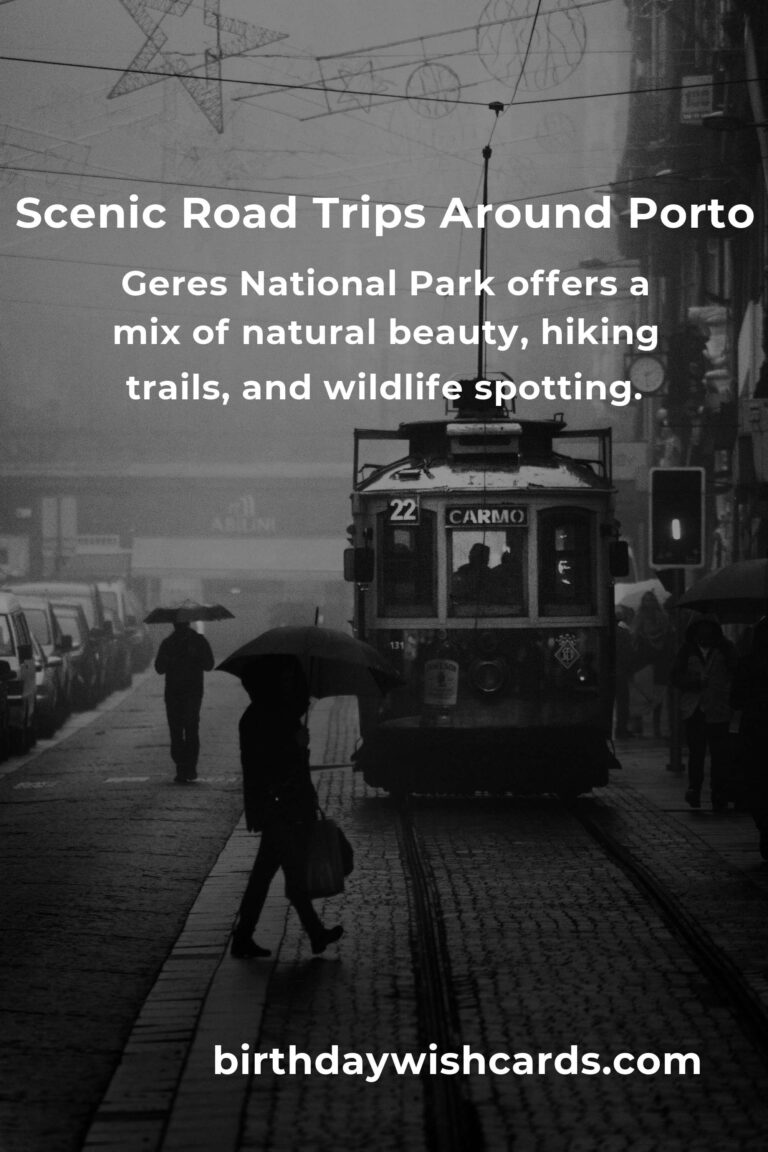 Top 17 Road Trip Routes to Visit in Porto for Unforgettable Adventures