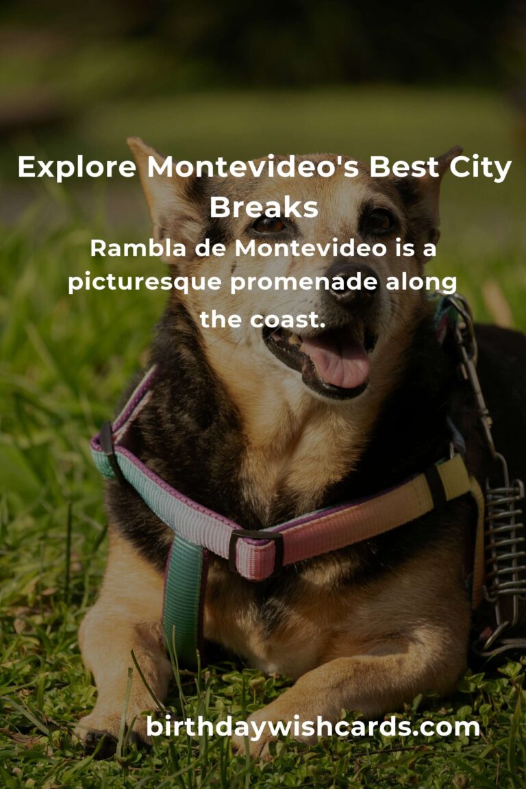 Top 36 City Breaks to Visit in Montevideo