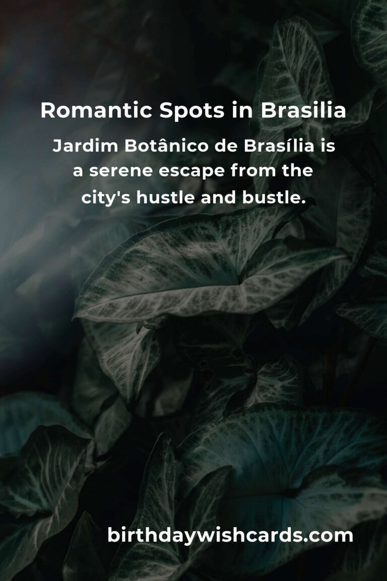 Top 9 Romantic Getaways to Visit in Brasilia for an Unforgettable Experience