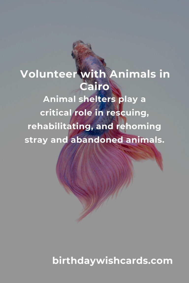 Top Animal Shelter Volunteer Programs in Cairo for Community Engagement