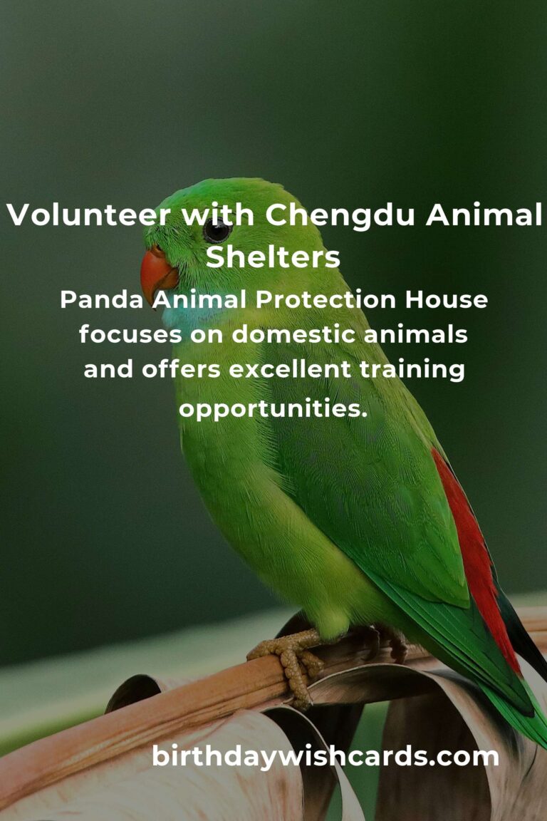 Top Animal Shelter Volunteer Programs in Chengdu for Compassionate Animal Lovers