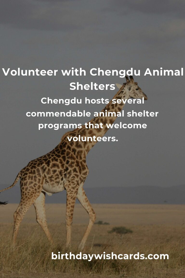 Top Animal Shelter Volunteer Programs in Chengdu for Compassionate Animal Lovers