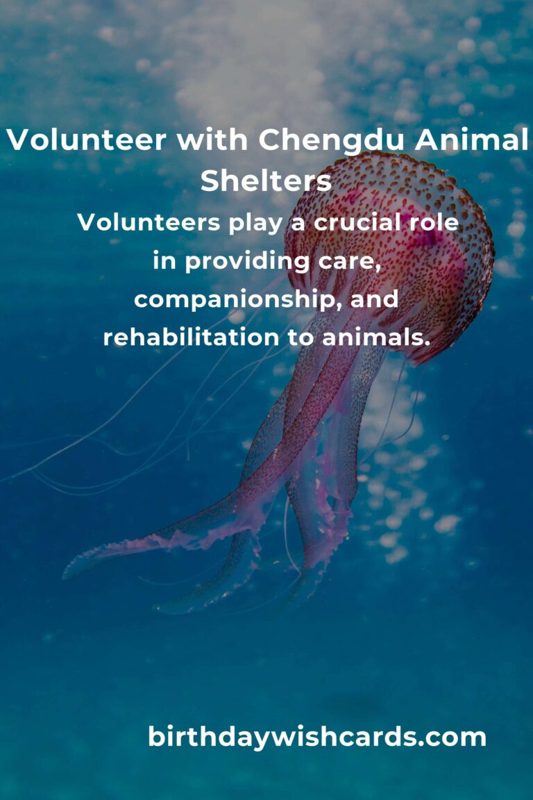 Top Animal Shelter Volunteer Programs in Chengdu for Compassionate Animal Lovers
