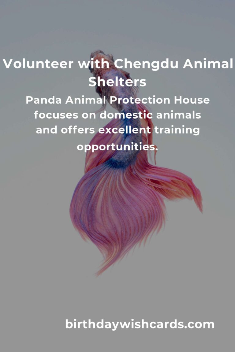 Top Animal Shelter Volunteer Programs in Chengdu for Compassionate Animal Lovers