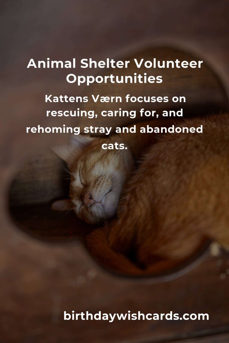 Top Animal Shelter Volunteer Programs in Copenhagen