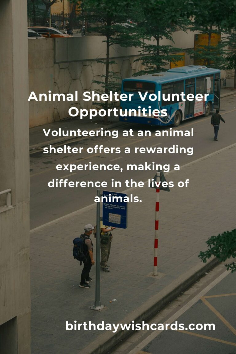 Top Animal Shelter Volunteer Programs in Copenhagen