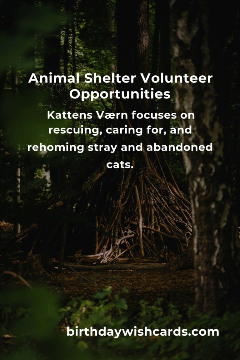 Top Animal Shelter Volunteer Programs in Copenhagen