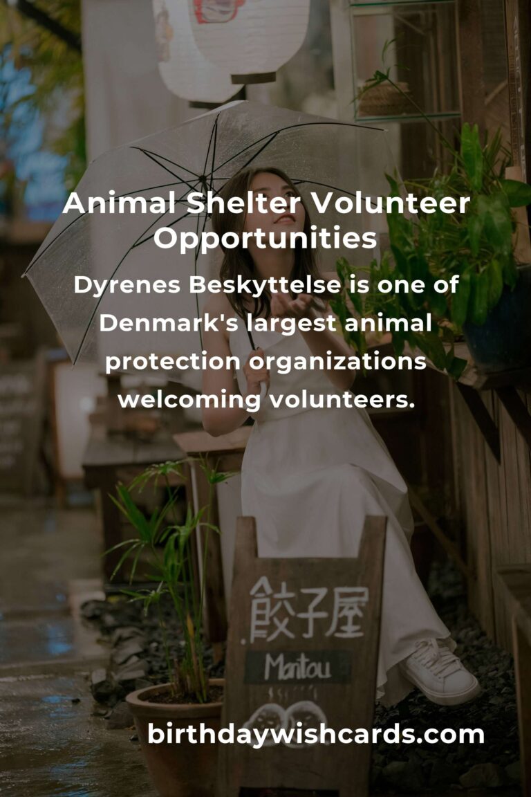 Top Animal Shelter Volunteer Programs in Copenhagen
