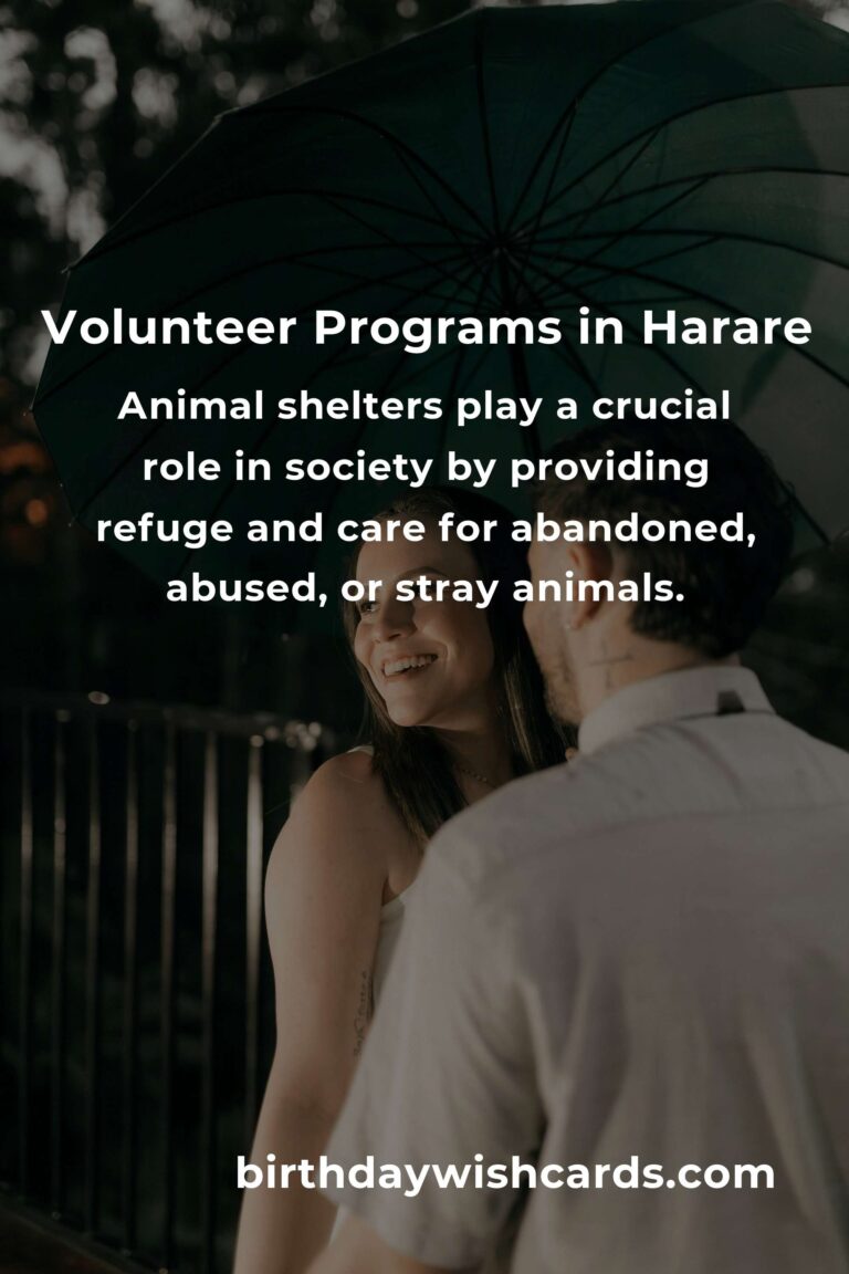 Top Animal Shelter Volunteer Programs in Harare for Compassionate Animal Lovers
