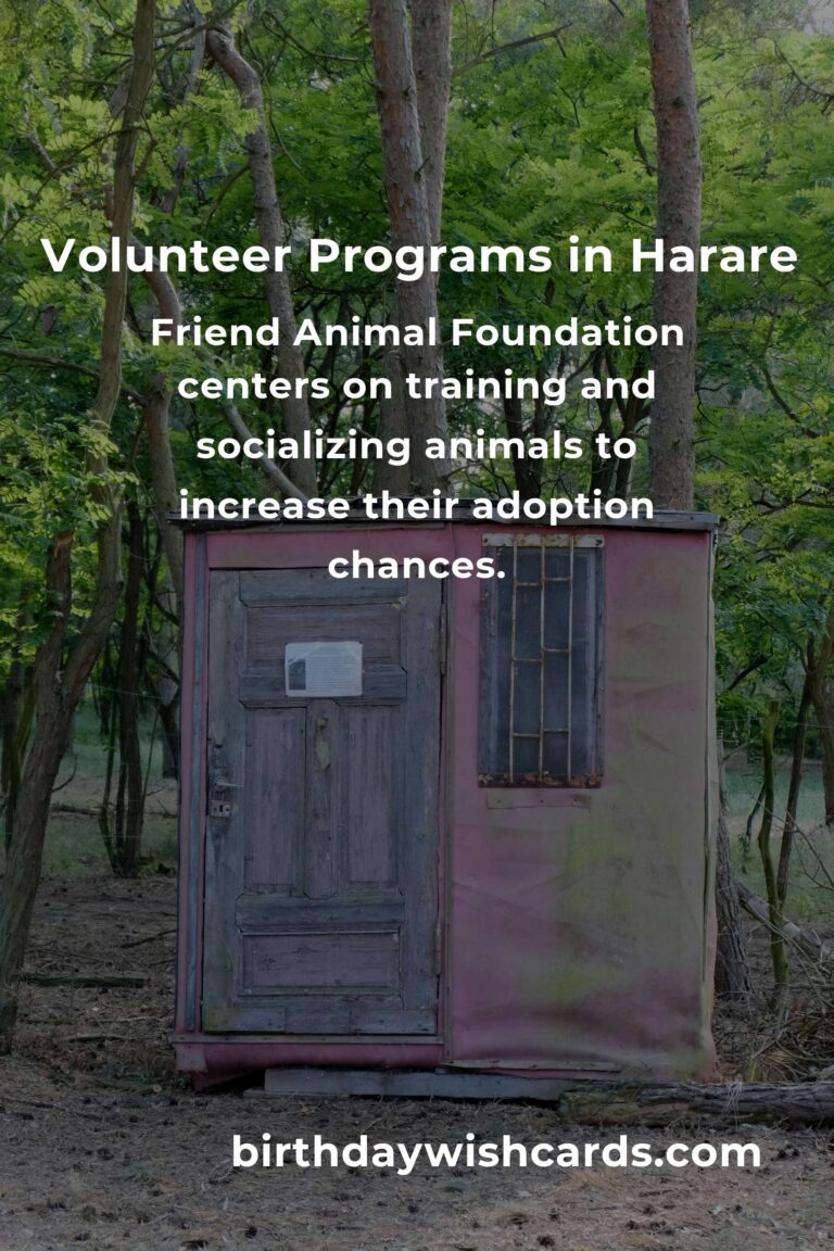Top Animal Shelter Volunteer Programs in Harare for Compassionate Animal Lovers