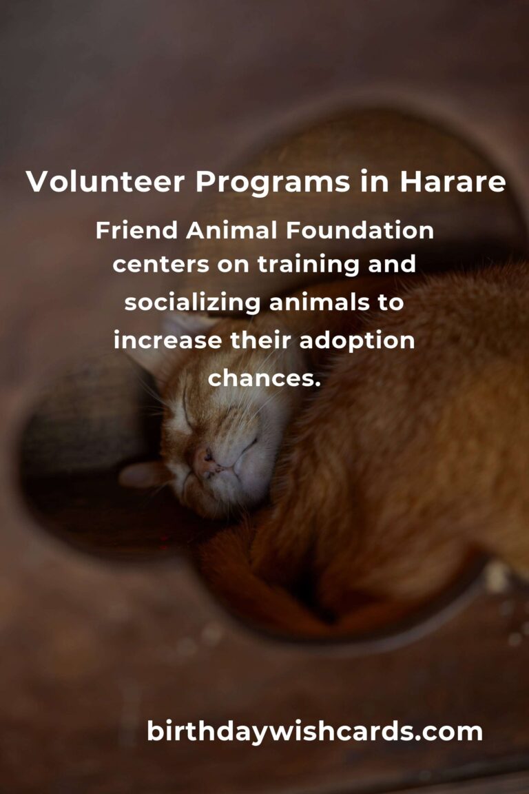 Top Animal Shelter Volunteer Programs in Harare for Compassionate Animal Lovers
