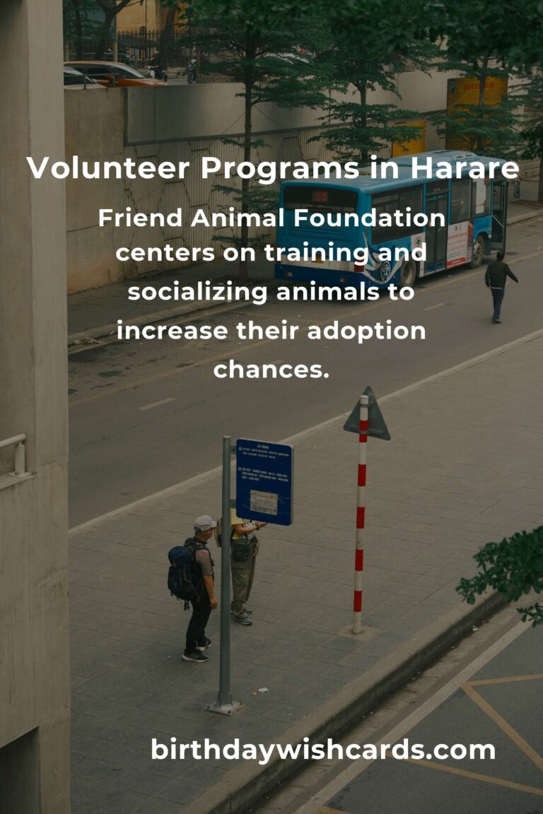 Top Animal Shelter Volunteer Programs in Harare for Compassionate Animal Lovers