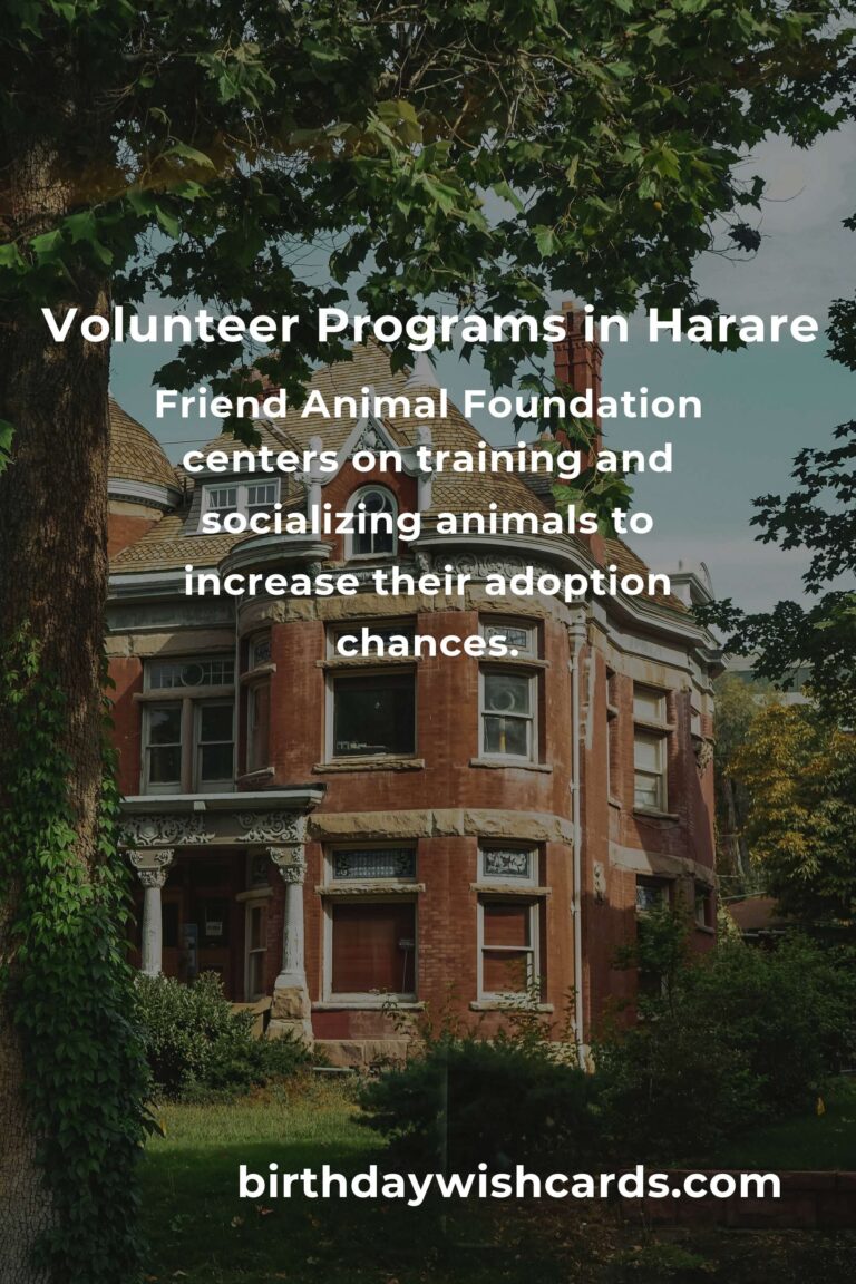 Top Animal Shelter Volunteer Programs in Harare for Compassionate Animal Lovers