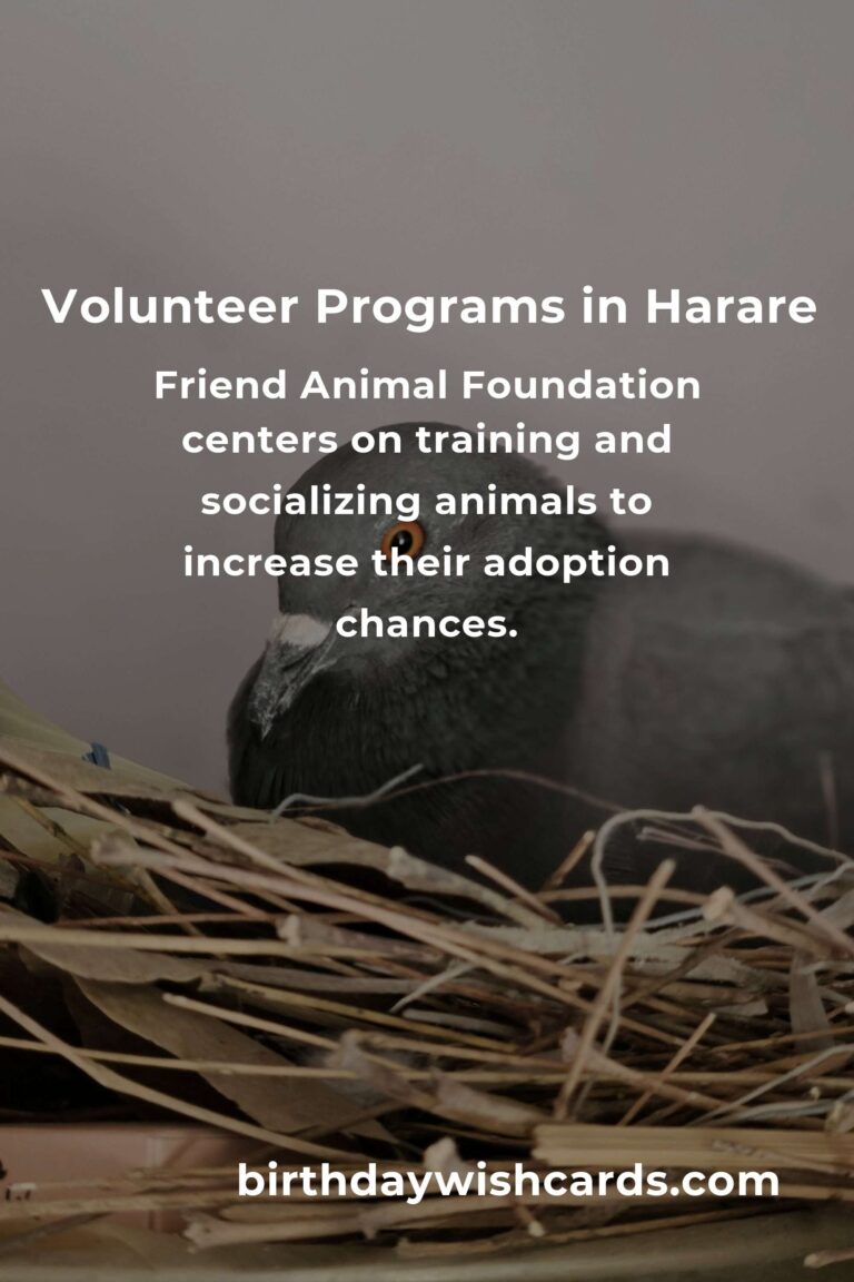 Top Animal Shelter Volunteer Programs in Harare for Compassionate Animal Lovers