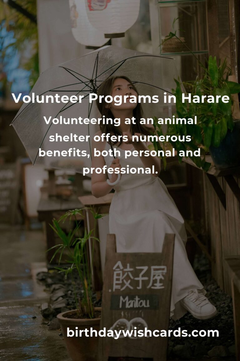Top Animal Shelter Volunteer Programs in Harare for Compassionate Animal Lovers