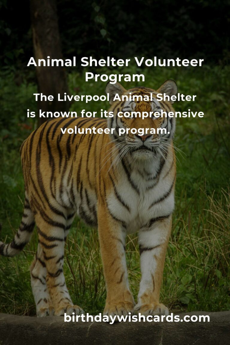 Top Animal Shelter Volunteer Programs in Liverpool