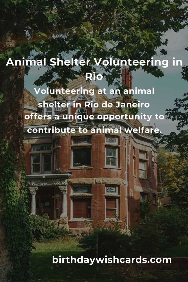 Top Animal Shelter Volunteer Programs in Rio de Janeiro