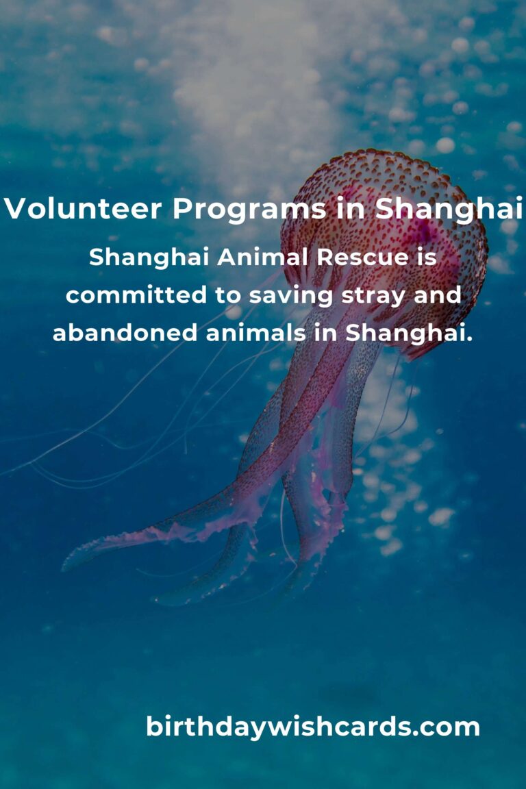 Top Animal Shelter Volunteer Programs in Shanghai for Compassionate Animal Lovers