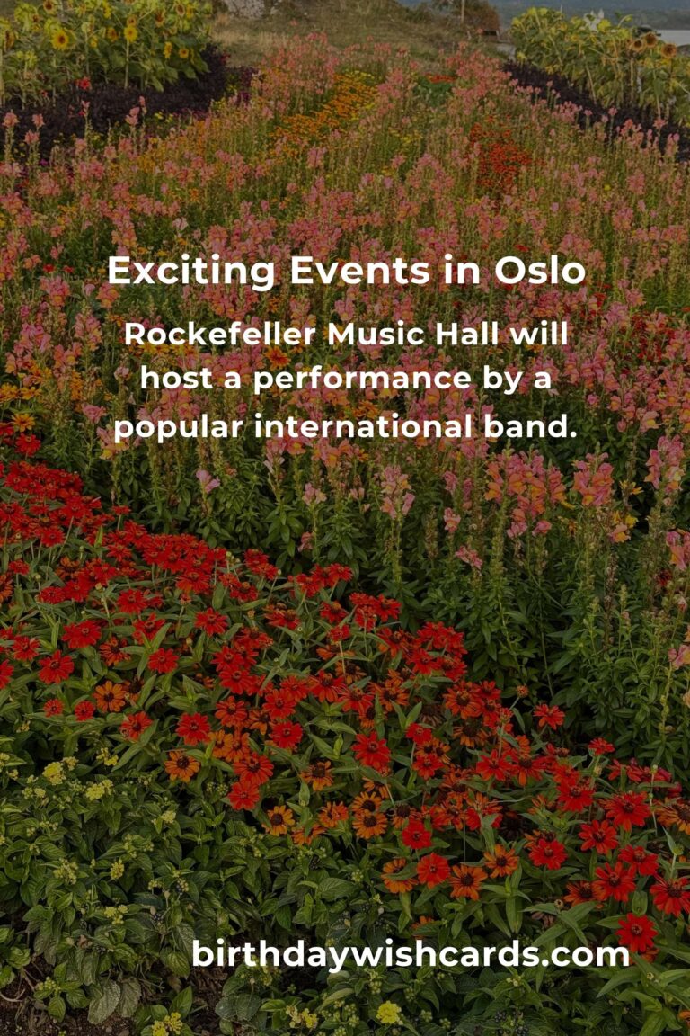 Top Local Events in Oslo This Weekend You Can't Miss