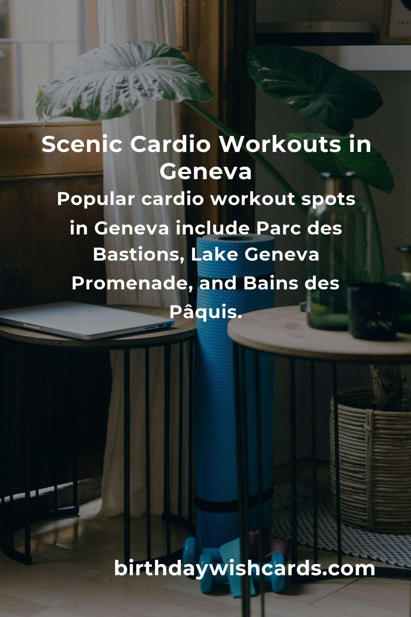 Ultimate Beginner’s Guide to Cardio Workouts in Geneva