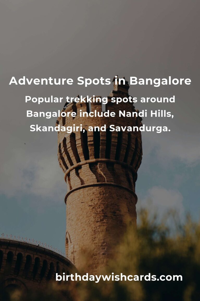 Ultimate Budget Guide to Adventure Spots in Bangalore