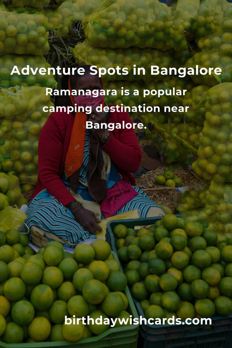 Ultimate Budget Guide to Adventure Spots in Bangalore