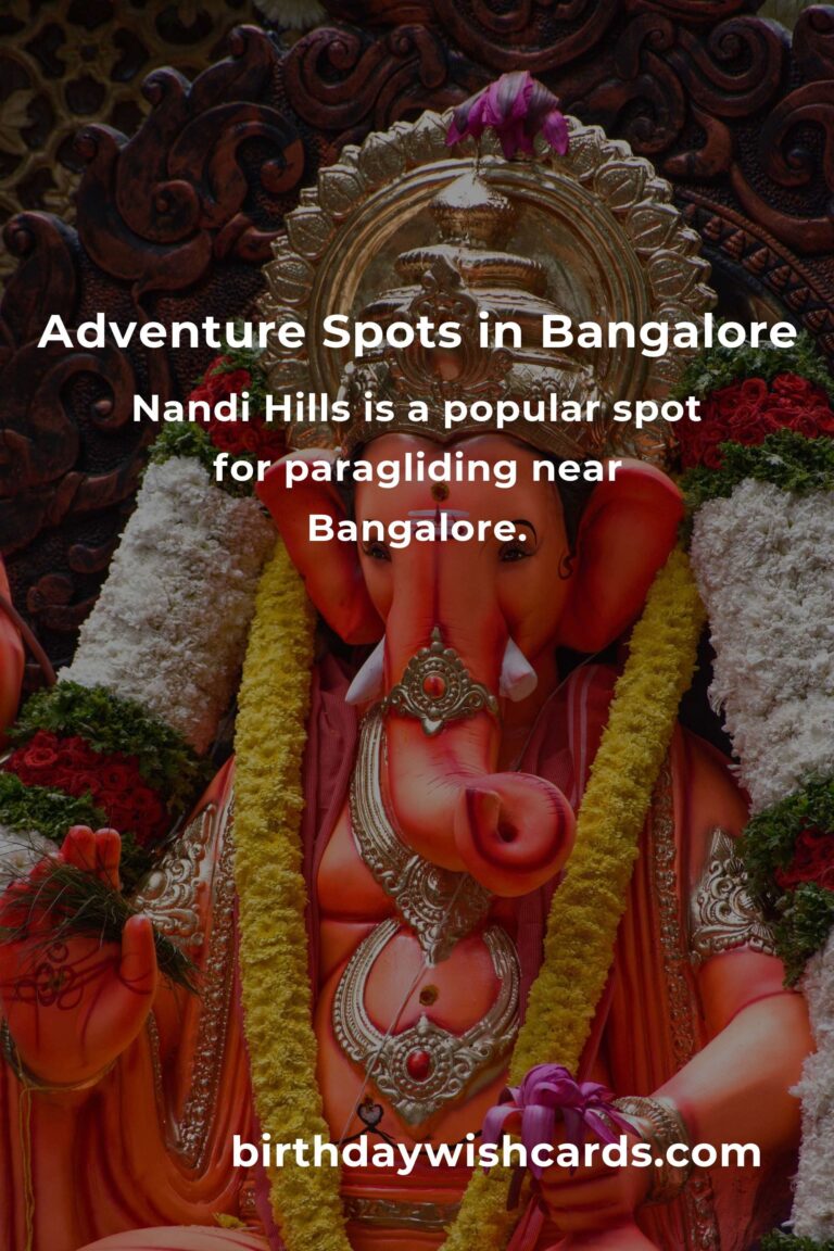 Ultimate Budget Guide to Adventure Spots in Bangalore
